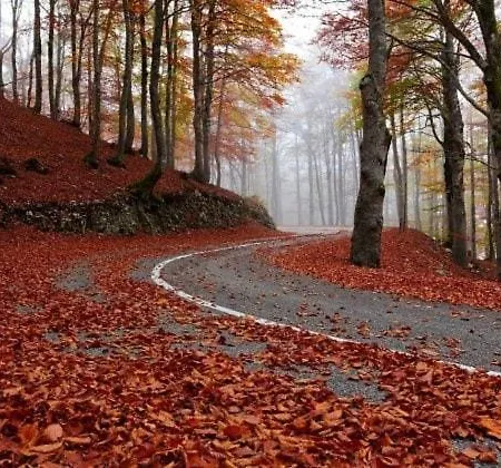 Relax Tra I Monti Di * Pescasseroli