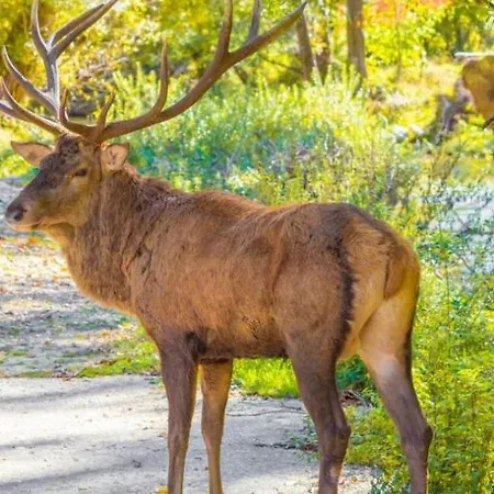 Relax Tra I Monti Di