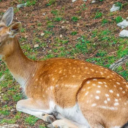 Relax Tra I Monti Di Apartment