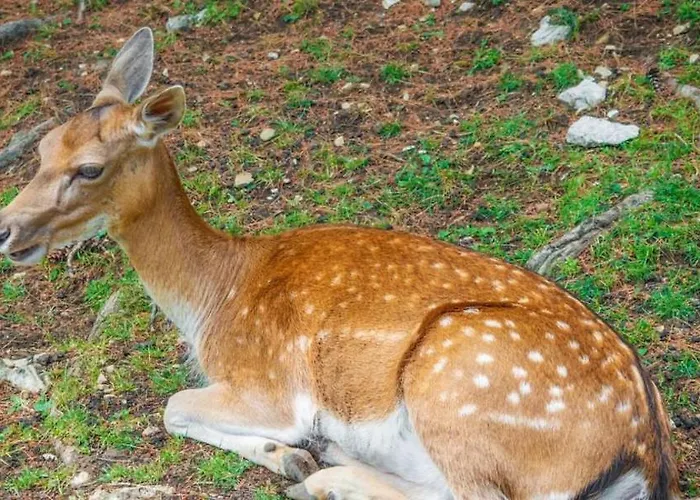 Relax Tra I Monti Di Апартаменты